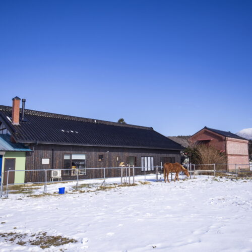 遠野市  築100年　古民家再生